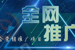 网络推广公司,助力企业品牌腾飞，揭秘高效营销策略