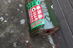 娱乐吃瓜酱灭鼠,揭秘灭鼠背后的趣味故事