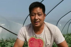 娱乐圈人名黑土 吃瓜,揭秘“黑土”吃瓜背后的故事