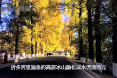 娱乐吃瓜君的作品,揭秘娱乐圈那些不为人知的幕后故事 娱乐吃瓜君的作品,揭秘娱乐圈那些不为人知的幕后故事