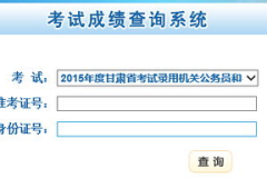 甘肃公务员考试成绩,解析与展望