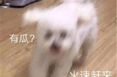 娱乐圈吃瓜微信聊天,幕后八卦大曝光